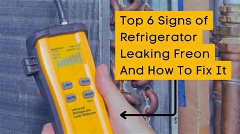 can freon leak from a refrigerator|Five Signs Your Refrigerator is Leaking Freon